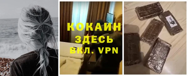 шишки Алексеевка