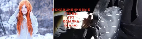 шишки Алексеевка