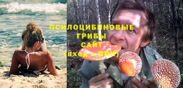 шишки Алексеевка