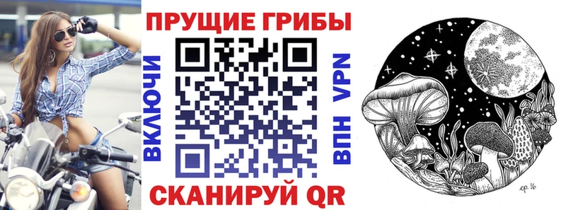 hydra онион  Алзамай  Псилоцибиновые грибы мицелий 