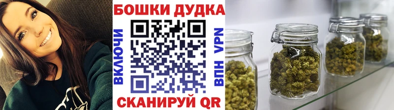 Канабис сатива  Алзамай 